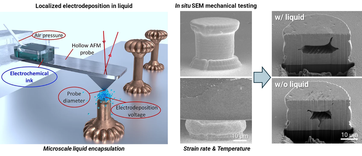 © Max-Planck-Institut für Nachhaltige Materialien GmbH