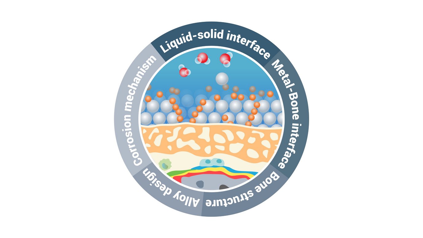 Figure 1: Different research directions of the group "Interfacial processes/reactions at the atomic scale".