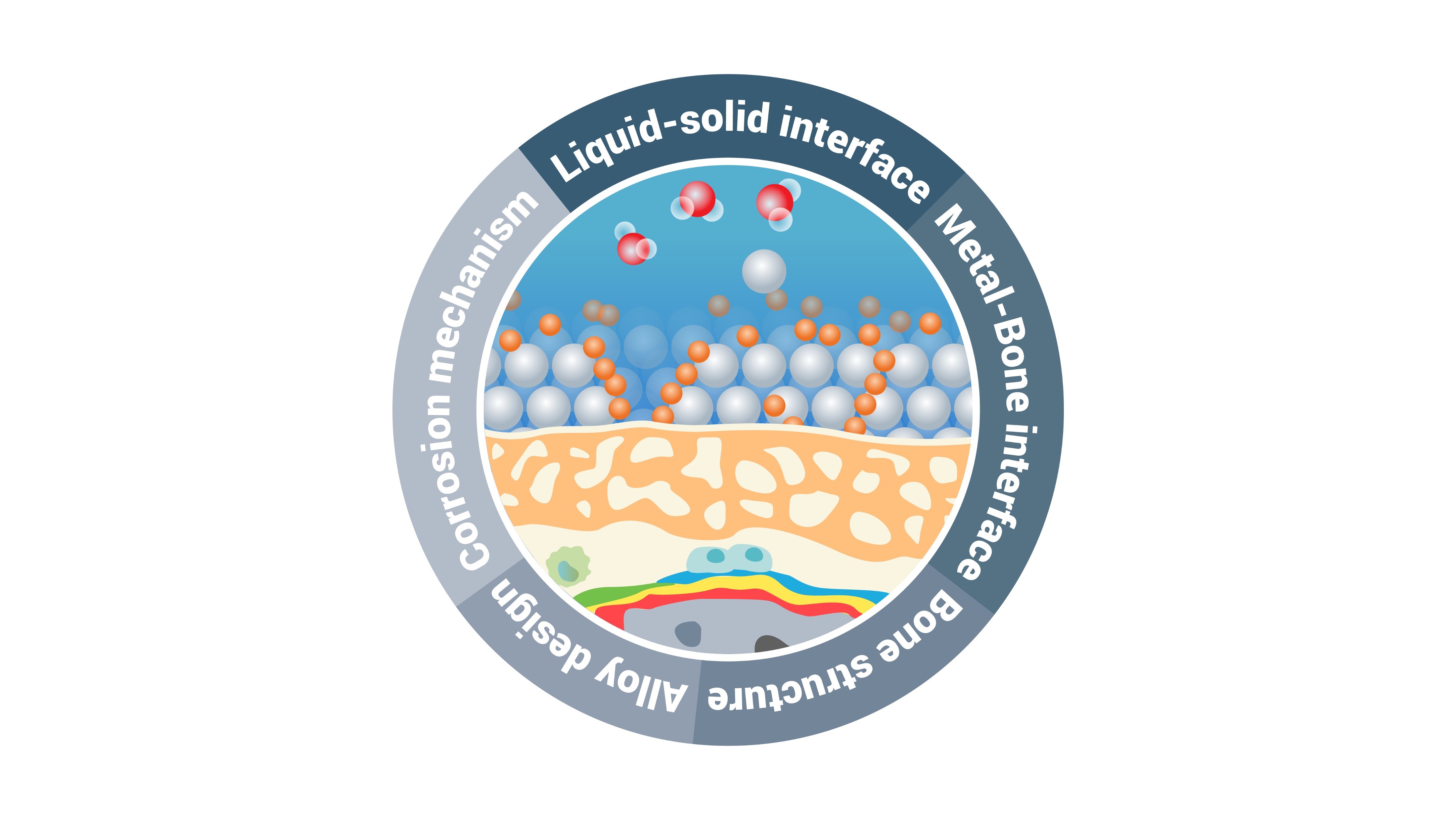 Figure 1: Different research directions of the group "Interfacial processes/reactions at the atomic scale". Figure 1: Different research directions of the group "Interfacial processes/reactions at the atomic scale".