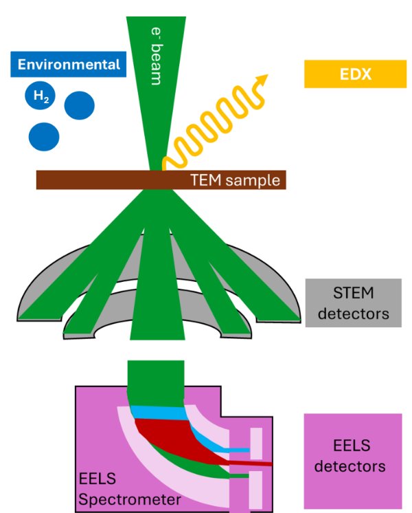 Schematic representation of a Transmission Electron Microscope (TEM) setup, depicting electron beam interaction with the sample, and detailing EDX, STEM, and EELS detection processes.