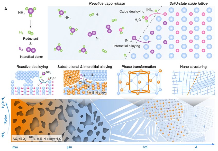 A sketch of the alloy design framework along with multi-scale microstructural evolution micro-events, encompassing reactive dealloying, interstitial alloying, phase transformations, and nano structuring. The sketch shows the case of ammonia (NH3) as reaction partner for the oxides, providing hydrogen (H2) as the reductant and nitrogen (N) as the interstitial alloying element. Diagram of reactive vapor-phase and solid-state oxide lattice processes.