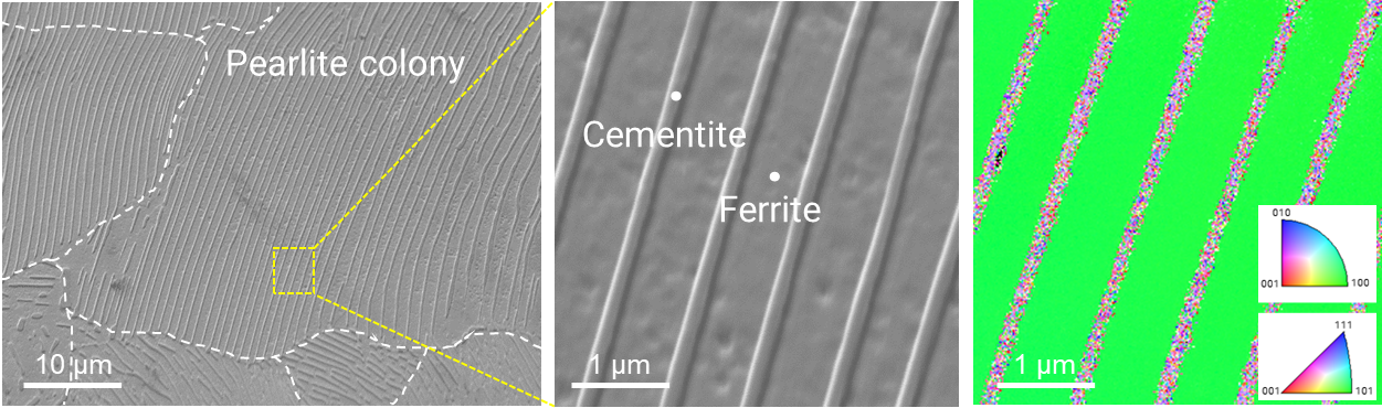 Fig. 1. Microstructures of pearlitic steel.