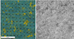 Fig. 1. The left image shows an electron backscatter diffraction map of a dual-phase steel composed of ferrite (green) and martensite (yellow). Nanoindentation mapping serves to elucidate the hardness at different regions.