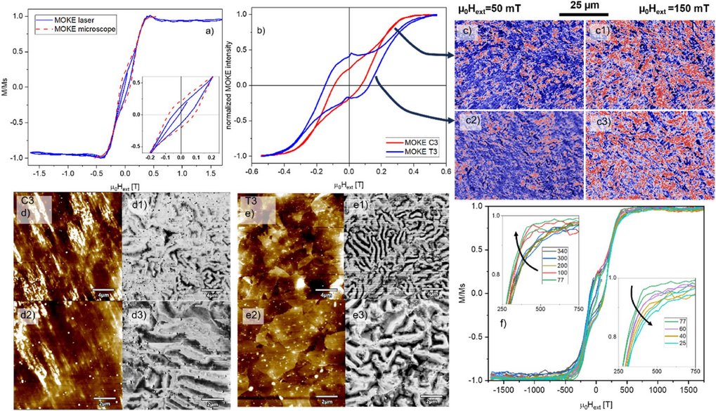 Graphs and microscopic images analyzing magnetic properties.