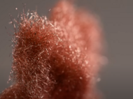 Nahaufnahme entlang der Längsrichtung eines Vlieses aus feinen Kupferfasern. Im Vordergrund sind die Metallfasern scharf und werden nach hinten unscharf.