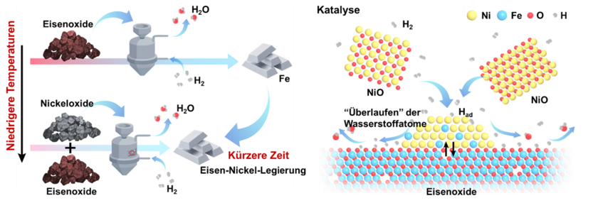 Nickeloxide können die wasserstoffbasierte Reduktion von Eisenoxiden und die Legierungsherstellung um ein Zweifaches beschleunigen, indem sie sich mit den Eisenoxiden verbinden und eine Grenzfläche formen. Auf dieser Grenzfläche treffen die Wasserstoffmoleküle auf, spalten sich in hochaktive Wasserstoffatome, die sich weiter ausbreiten und mit den Eisenoxid-Oberflächen verbinden. Dieses beschleunigte „Überlaufen“ der Wasserstoffatome ist verantwortlich für die zweifach schnellere Reduktion der Eisenoxide. Schematische Darstellung wie Nickeloxide als Katalysatoren die wasserstoff-basierte Herstellung von Stahl beschleunigen.
