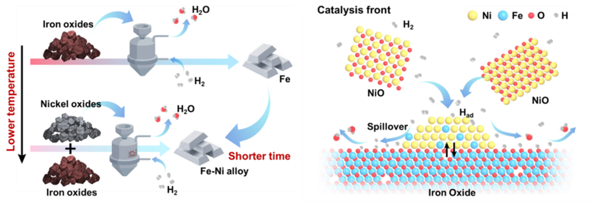 Nickel oxides serve as a catalyst precursor and accelerate the reduction kinetics by a factor of two, compared to an uncatalyzed hydrogen-based reduction. This is possible as nickel oxides bind with neighbouring iron oxides, creating an interface. Nickel breaks the incoming hydrogen molecules into highly reactive hydrogen atoms. These atoms then move across neighbouring iron oxide surfaces, a process known as hydrogen spillover, enabling accelerated reduction reactions. Explanatory illustration showing how nickel oxides act as catalysts for hydrogen-based steel production.