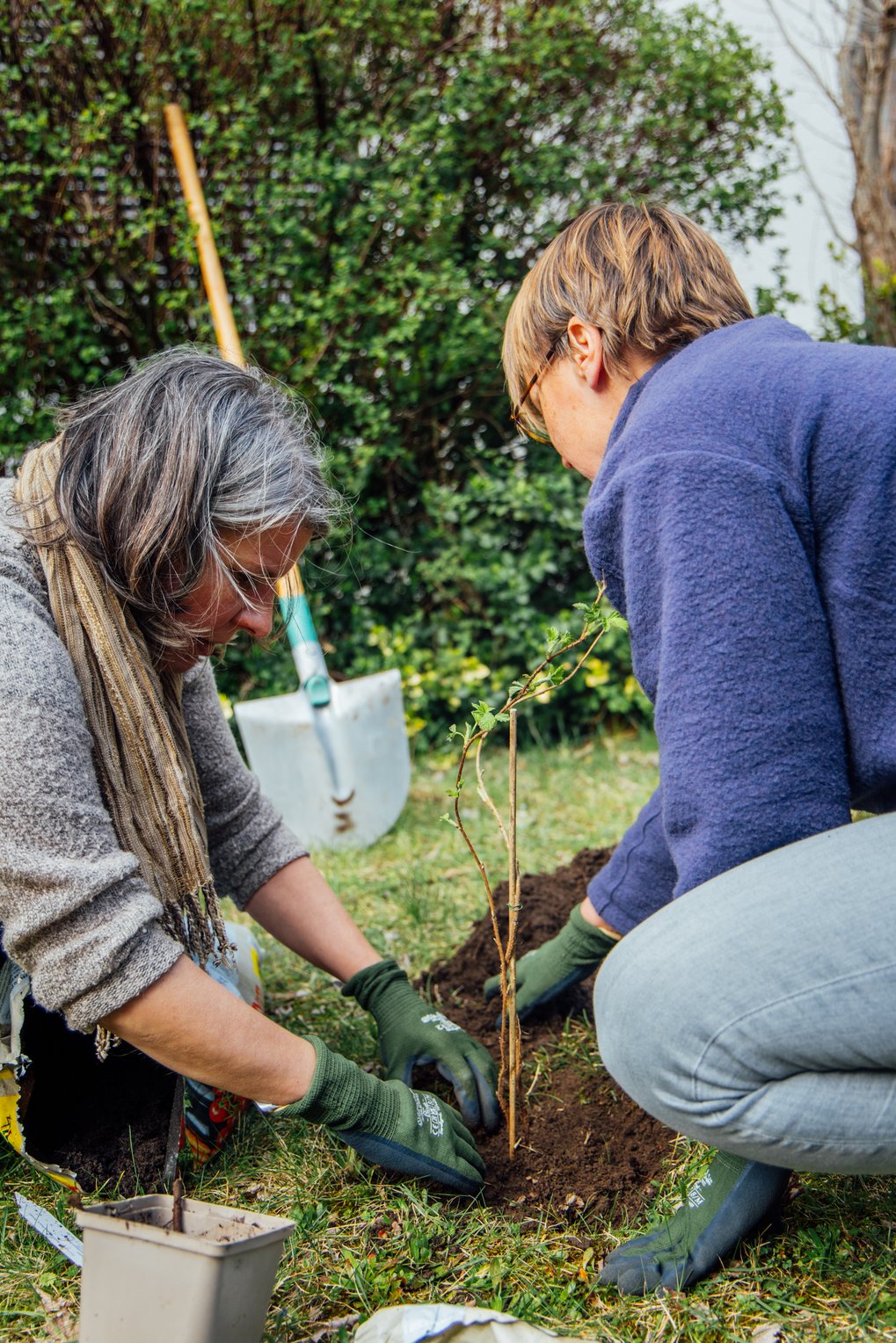 Two people planting a plant