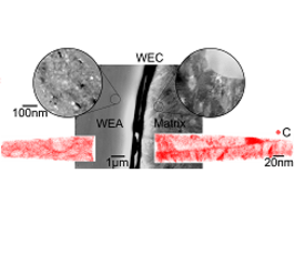 MPIE Workshop: Mechanisms of White Etching Matter Formation