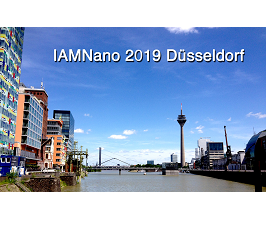 International Workshop on Advanced and In-situ Microscopies of Functional Nanomaterials and Devices, IAMNano 2019 